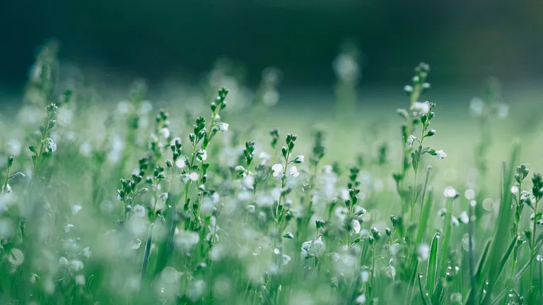 2040年問題と終活｜「多死社会」のデータから考える、今からできる備え