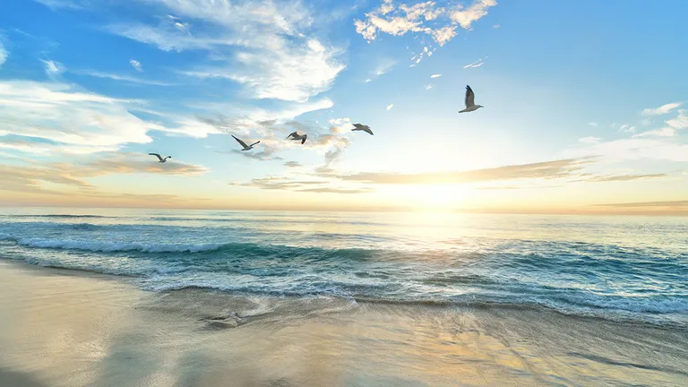 永代供養とは？意味・種類・費用相場を『名前しか知らなかった自分』が整理しました【2026年版】