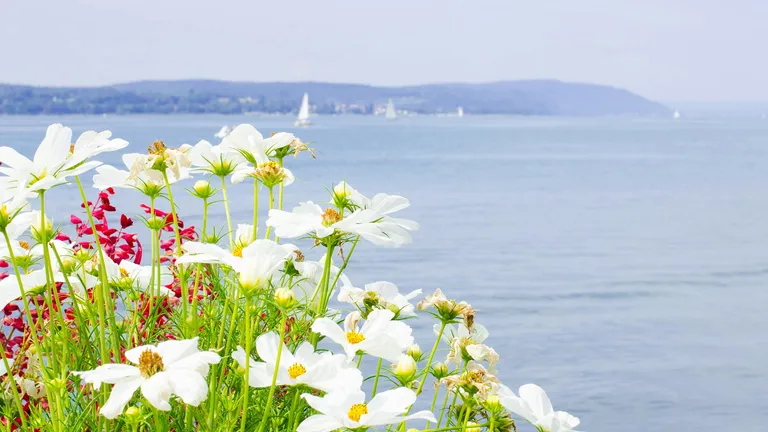 墓じまいする人は年間15万人超｜「うちもそろそろ」と感じたら知っておきたい数字