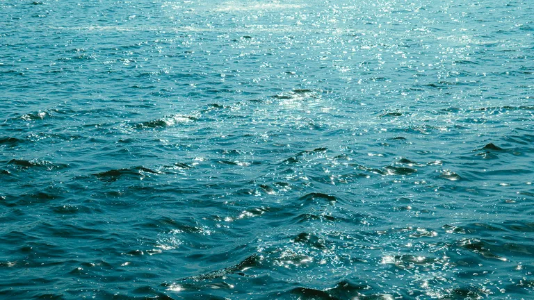 海洋散骨の費用はいくら？種類別の相場と、選ぶ前に知っておきたいこと