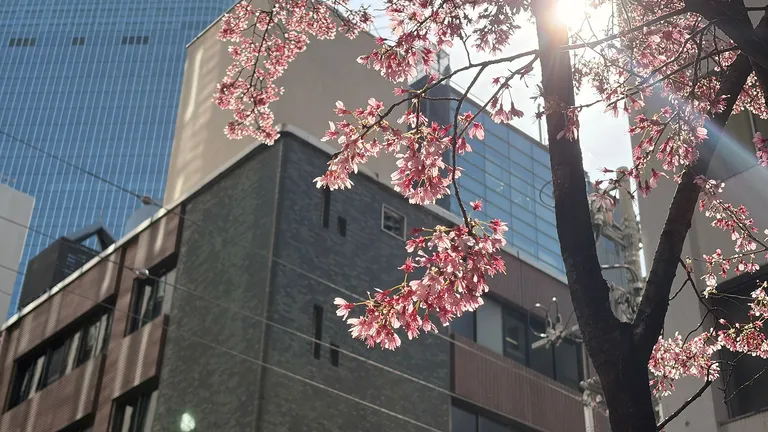 葬儀費用の相場はいくら？家族葬で親を見送った自分が伝えたいこと