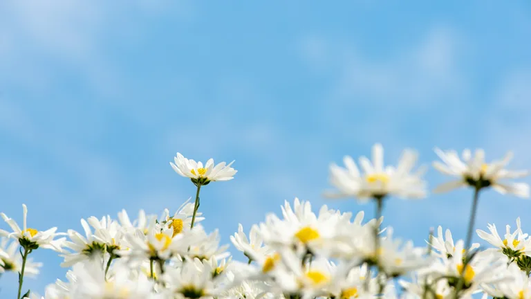 相続放棄は年間30万件超｜「残す側」が知っておきたい数字と終活でできる備え