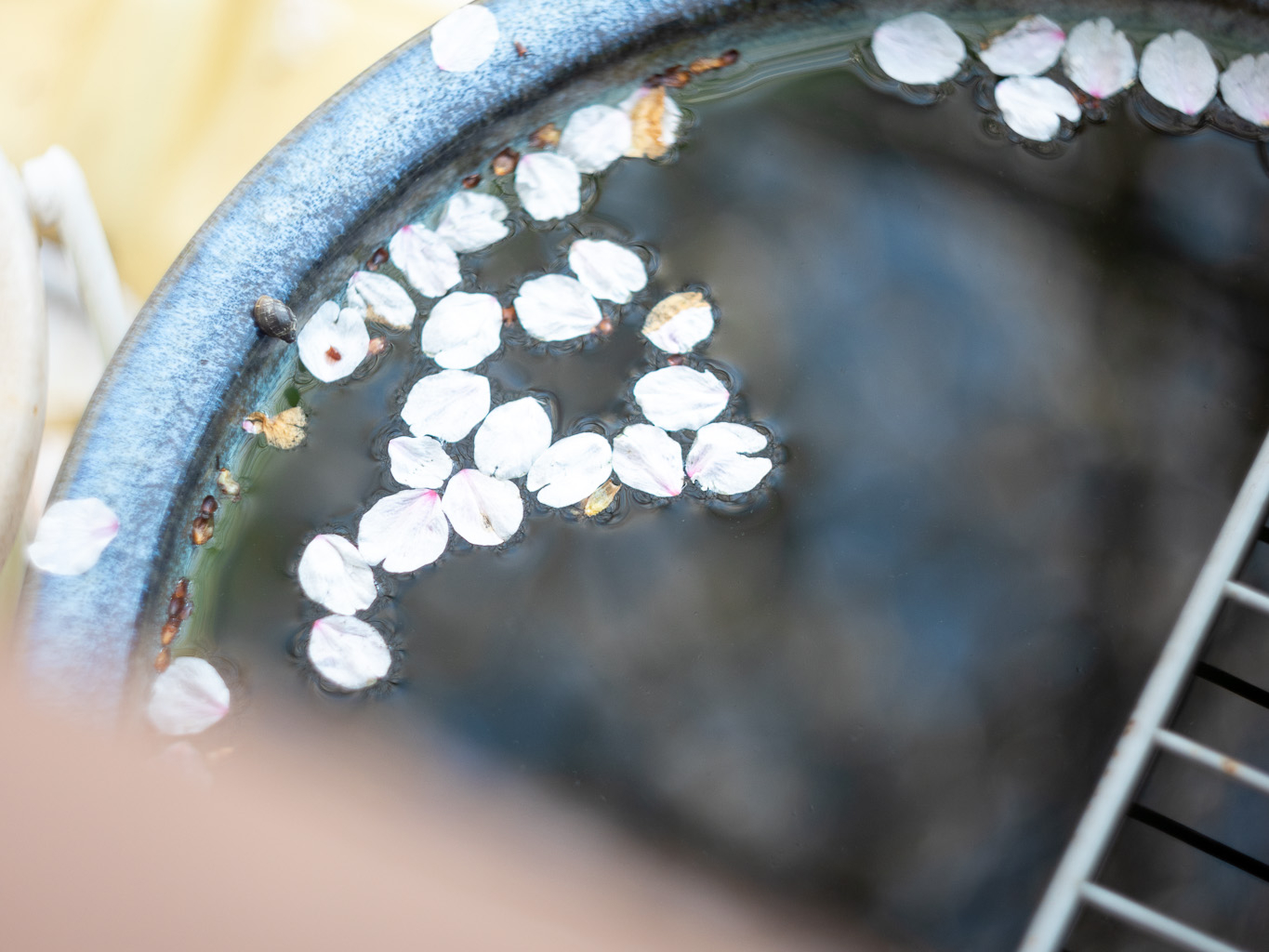 はじめまして。ソラノートを始めます。